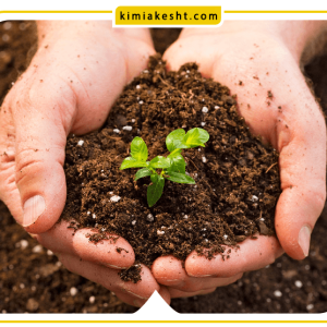 شناخت خاک های سدیمی یا سدیک