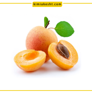 هسته زردآلو چه خواصی دارد؟ مفید است یا مضر ؟