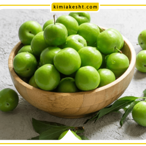 همه‌ چیز درباره گوجه سبز