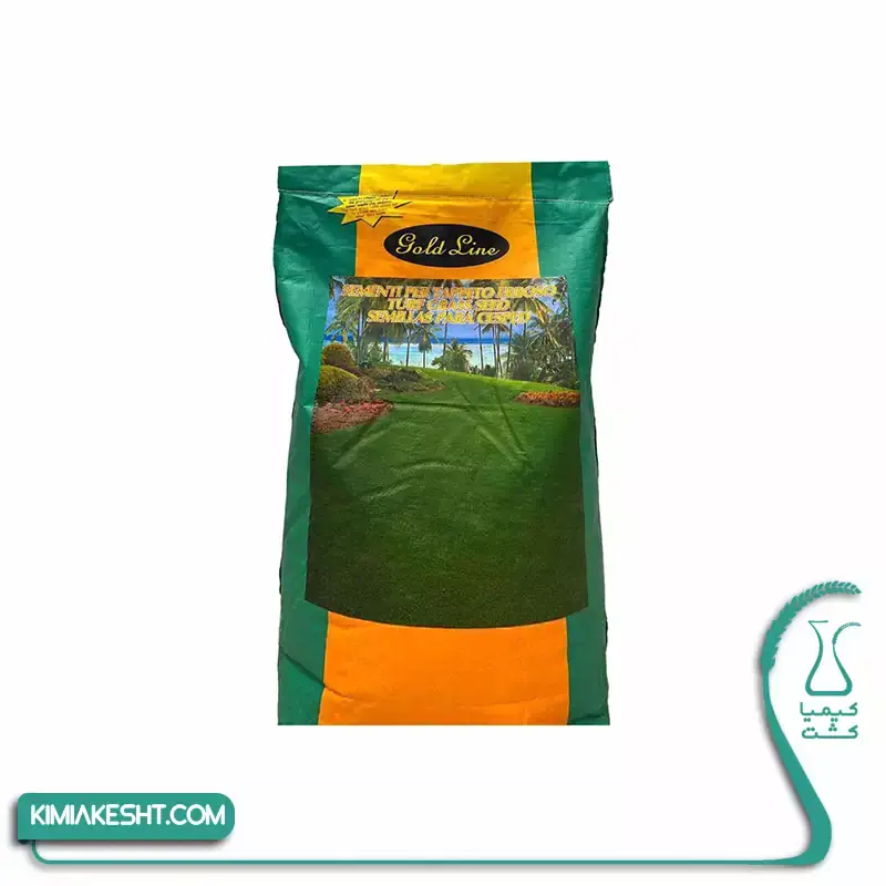 بذر چمن 4 تخم اصلاح شده ایتالیایی 1 کیلویی