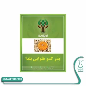 کدو هلوایی نارنجی یلدایی 3 گرمی