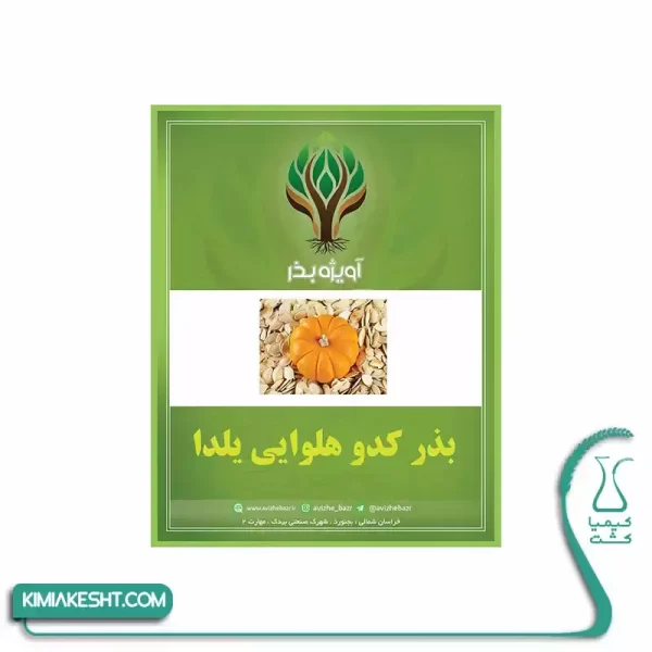 کدو هلوایی نارنجی یلدایی 3 گرمی