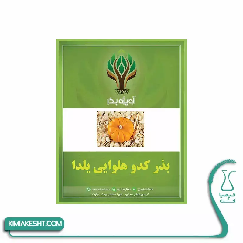 کدو هلوایی نارنجی یلدایی 3 گرمی