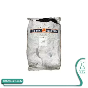 لوبیا سبز سانری هاتیک سیدز آمریکا 1 کیلویی