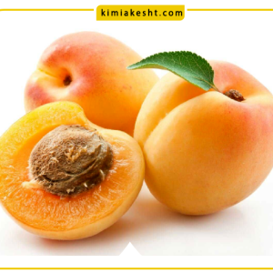 8 راه شیرین و درشت شدن زردآلو