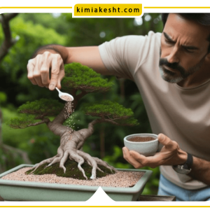 انتخاب بهترین کود بونسای