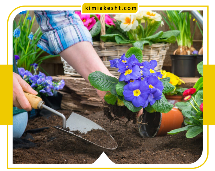 24 نکته اصلی و مهم باغبانی در فصل بهار