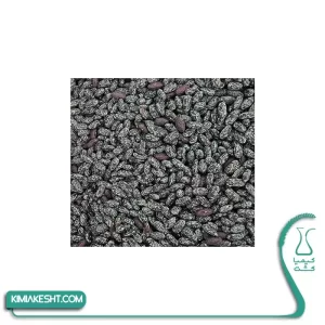 لوبیا سبز سانری هاتیک سیدز آمریکا 100 گرمی