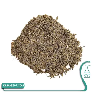 بذر زیره سبز 1 کیلویی