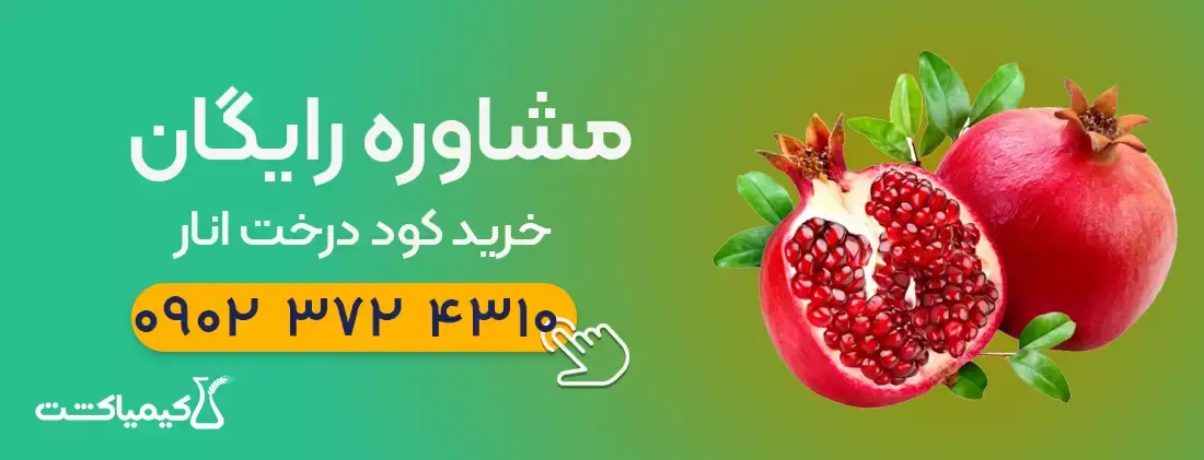 مشاوره رایگان خرید کود درخت انار