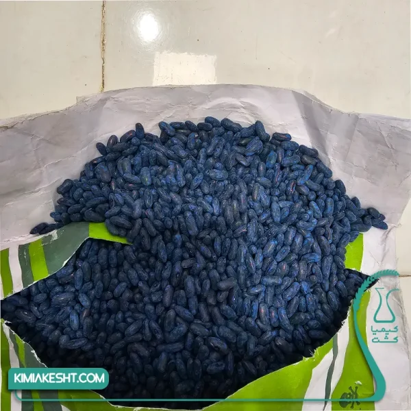بذر لوبیا سبز سان ری گلسم 1 کیلویی - Image 2