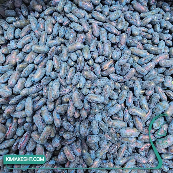 بذر لوبیا سبز سان ری گلسم 1 کیلویی - Image 3
