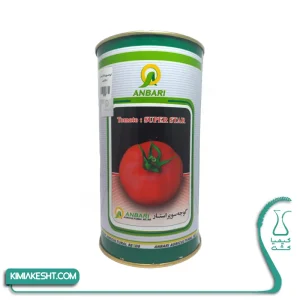 گوجه سوپر استار عنبری