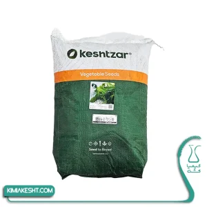 ریحان سبز کشت زار