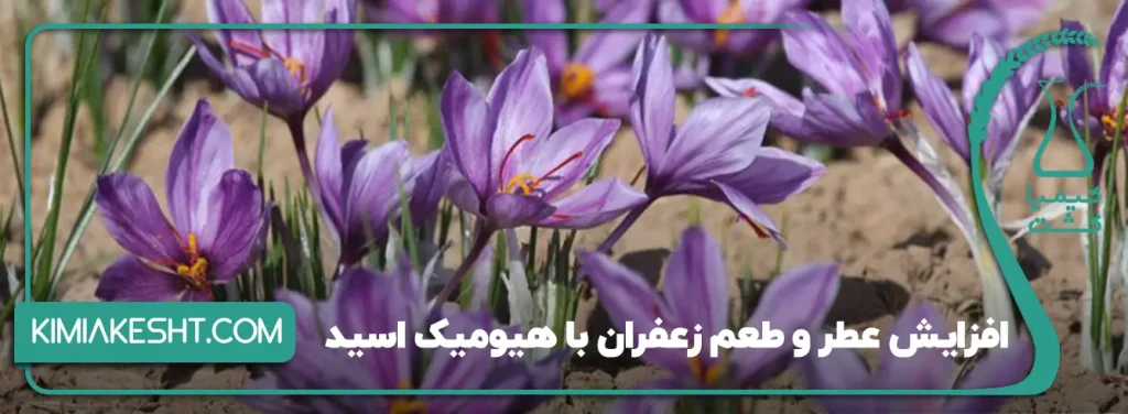 افزایش تعداد گل