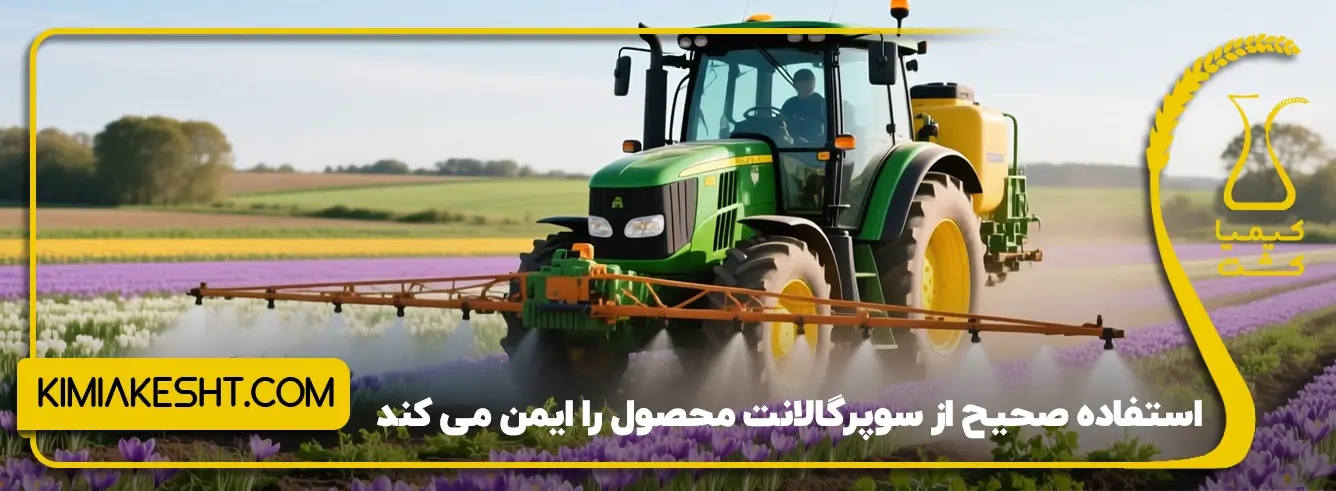 معرفی سم علف کش پهن برگ زعفران