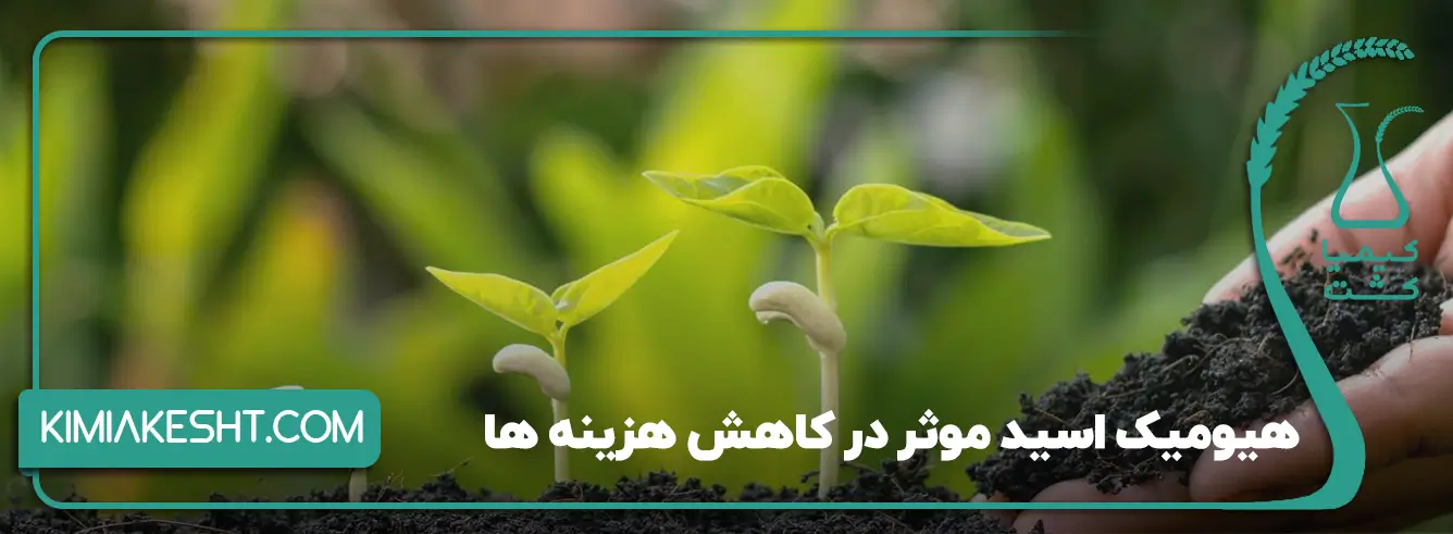 مزایا کود هیومیک اسید