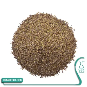 شبدر 7 رنگ اصلاح شده پايه کوتاه