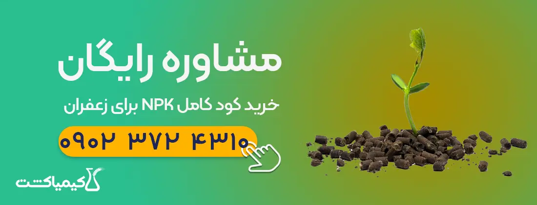 مشاوره خرید کود کامل برای زعفران