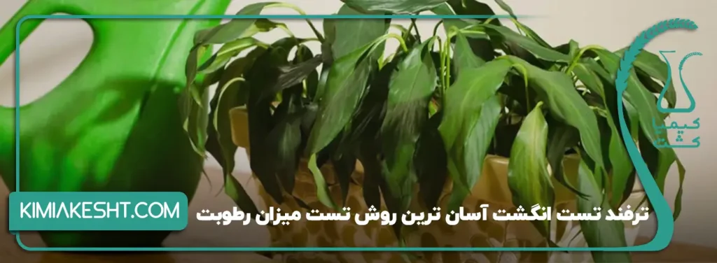 آسانترین روش تست میزان رطوبت