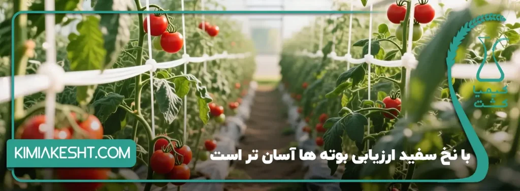 ارزیابی بهتر بوته با نخ سفید