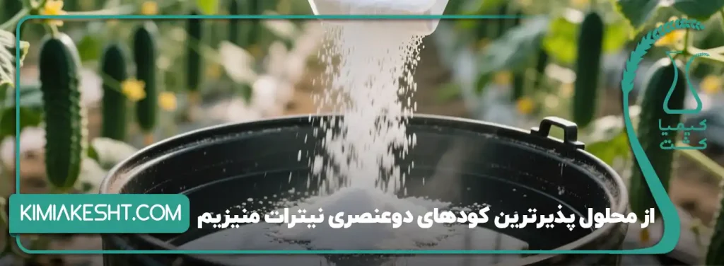 محلول پذیرترین کود نیترات منیزیم