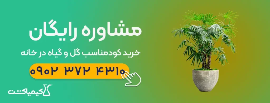 مشاوره خرید کود مناسب گل و گیاه
