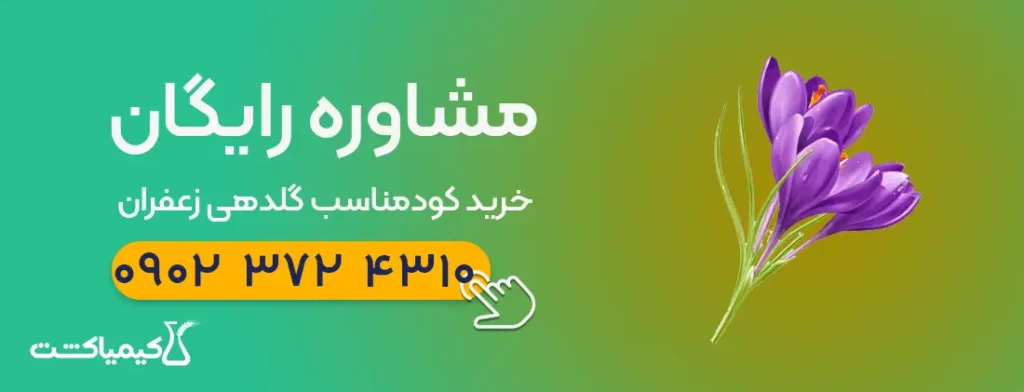 مشاوره رایگان خرید کود گلدهی زعفران