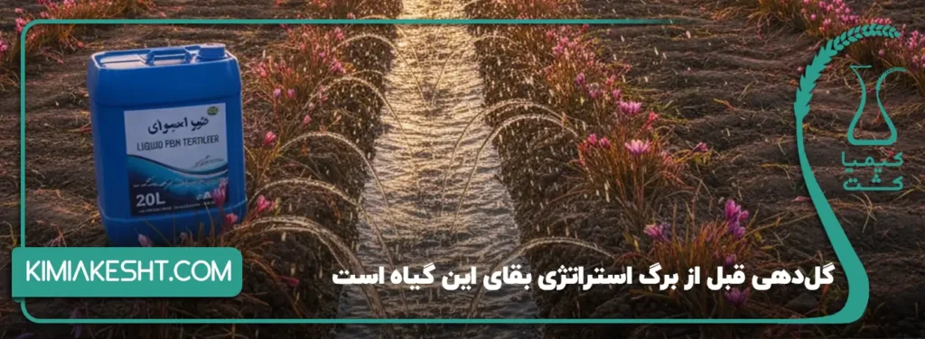 گل‌دهی قبل از برگ استراتژی بقای گیاه است