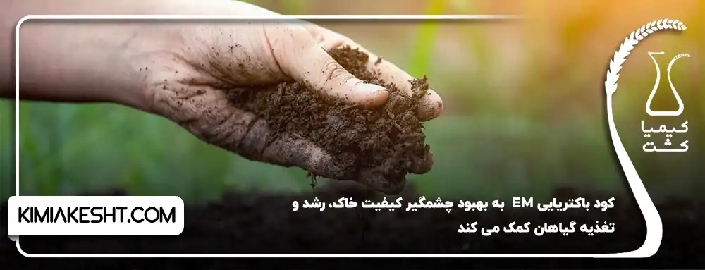 بهبود چشمگیر کیفیت خاک با کودEM