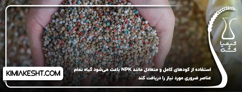 استفاده از کود NPK برای گیاهان
