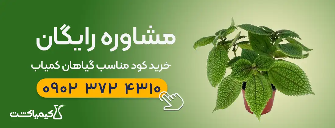 مشاوره رایگان گیاهان زینتی خاص