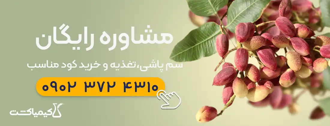 مشاوره رایگان شرایط آب و هوایی کشت پسته