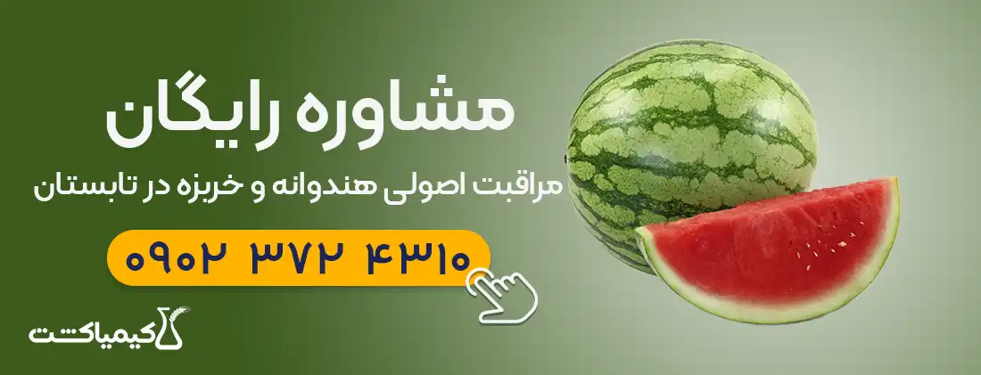 مشاوره مراقبت اصولی از هندوانه و خربزه