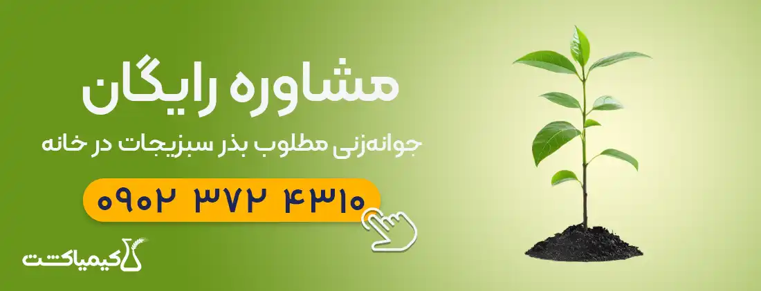 مشاوره رایگان جوانه زنی مطلوب بذر سبزیجات در خانه