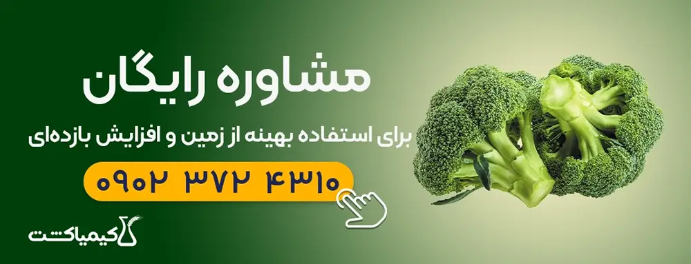 مشاوره رایگان سبزیجات مناسب کشت پاییزه