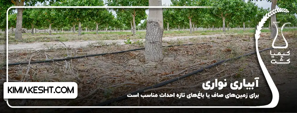 آبیاری نواری پسته