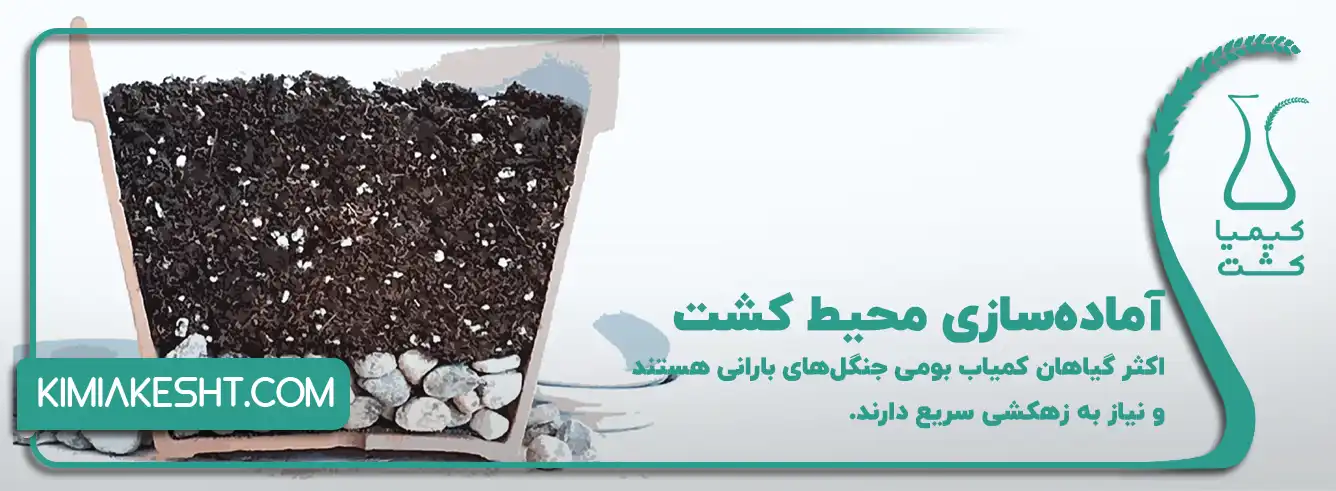 آماده_سازی محیط کشت