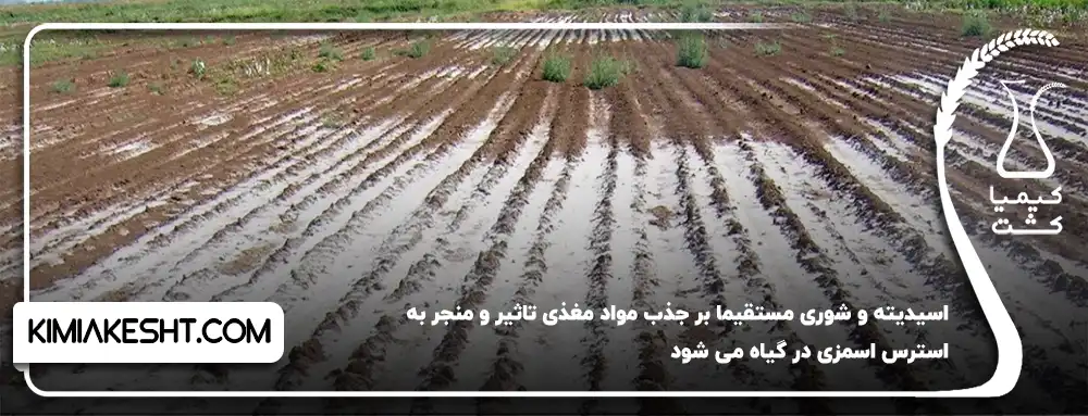 اسیدیته و شوری مستقیما بر جذب مواد تاثیر گذار است