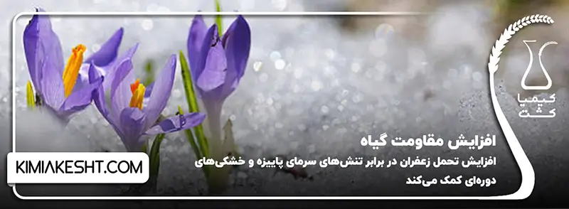 افزایش مقاومت گیاه