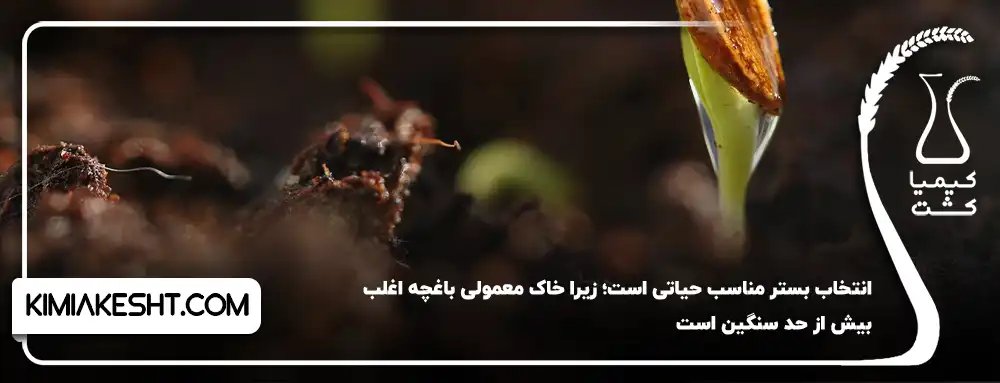 انتخاب بستر مناسب در بذر سبزیجات