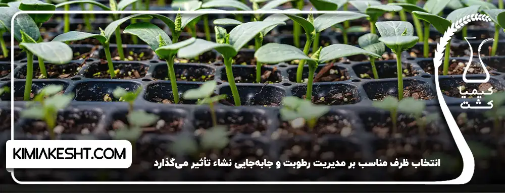 انتخاب ظرف مناسب