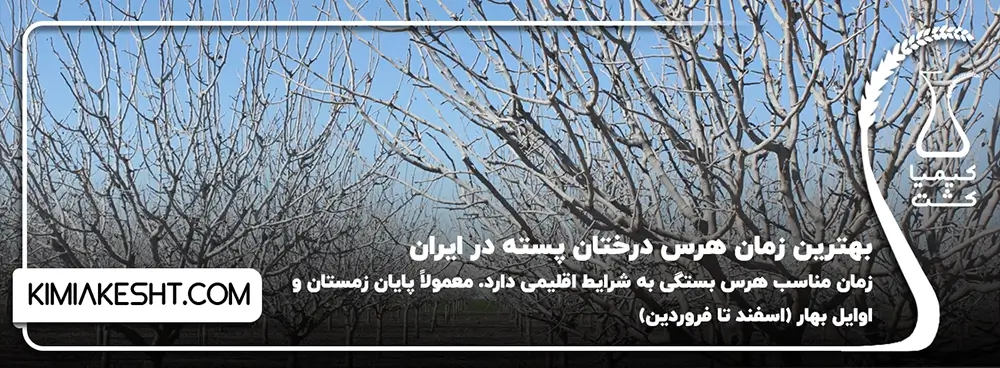 بهترین زمان هرس درختان پسته در ایران