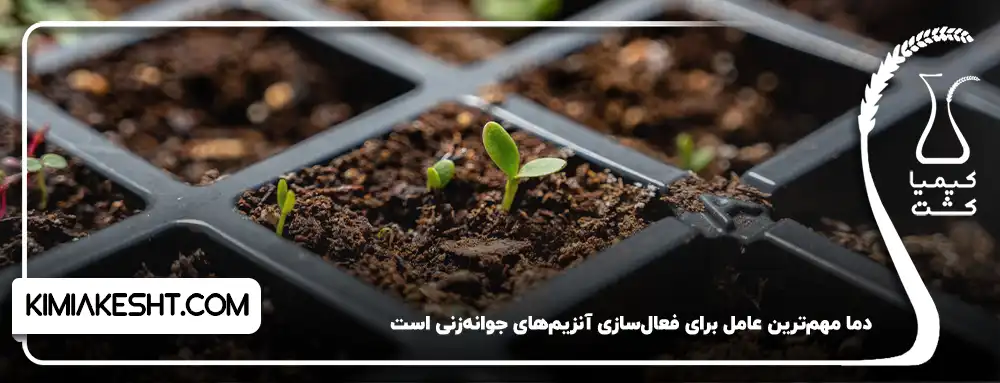 ایجاد محیط گلخانه ای برای بذر