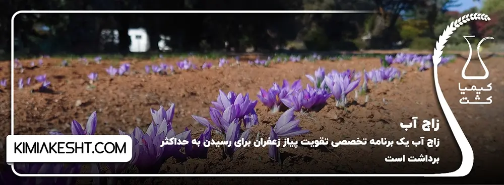 زاج آب زعفران