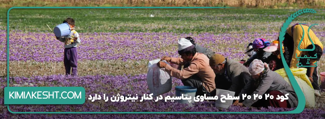 سطح مساوری پتاسیم و نیتروژن درکنارهم