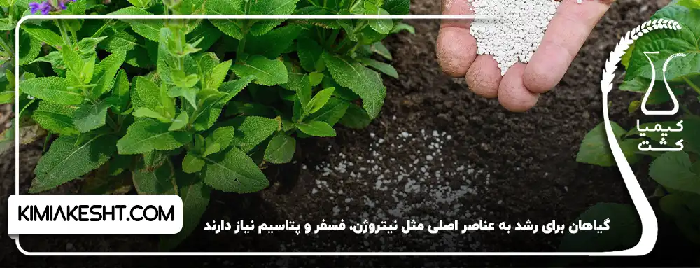 عناصر اصلی گیاه