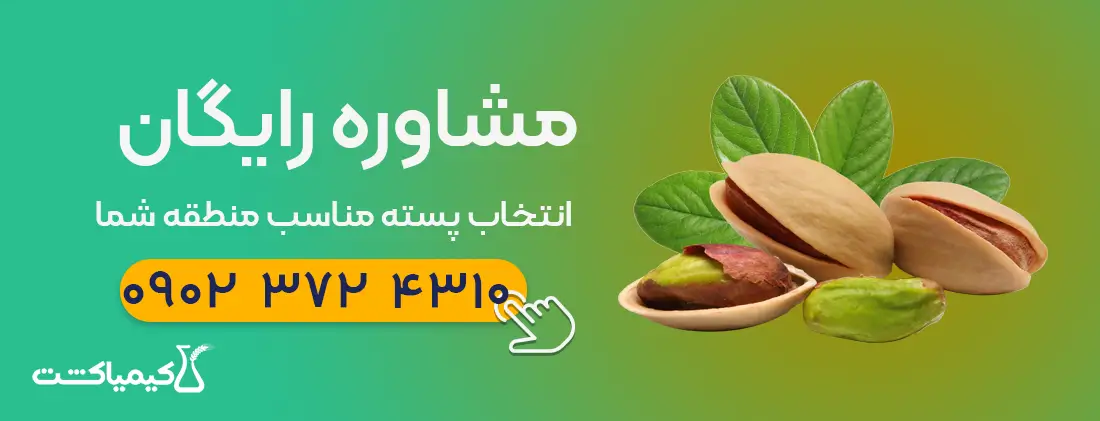 مشاوره رایگان انتخاب پسته مناسب منطقه