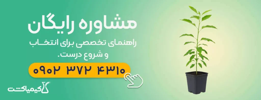 مشاوره رایگان کاشت نهال پسته