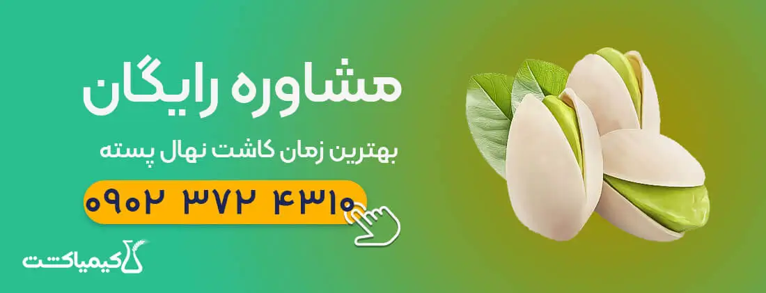 مشاوره-کاشت-پسته